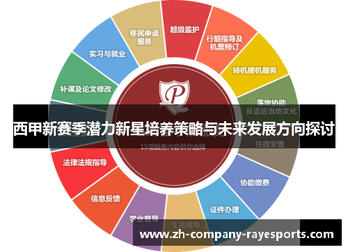 西甲新赛季潜力新星培养策略与未来发展方向探讨