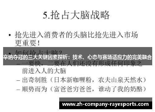 辛纳夺冠的三大关键因素探析：技术、心态与赛场适应力的完美融合