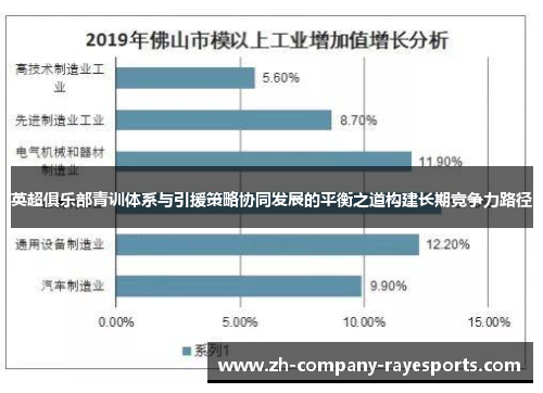 英超俱乐部青训体系与引援策略协同发展的平衡之道构建长期竞争力路径