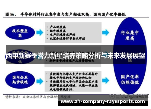 西甲新赛季潜力新星培养策略分析与未来发展展望